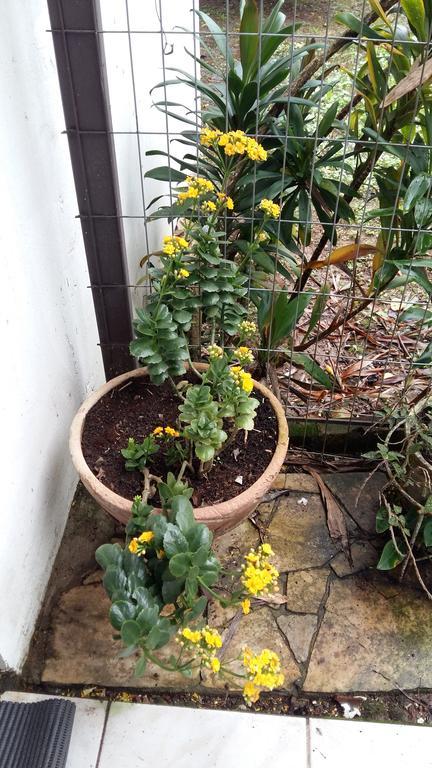 Pousada Três Coroas Exterior foto